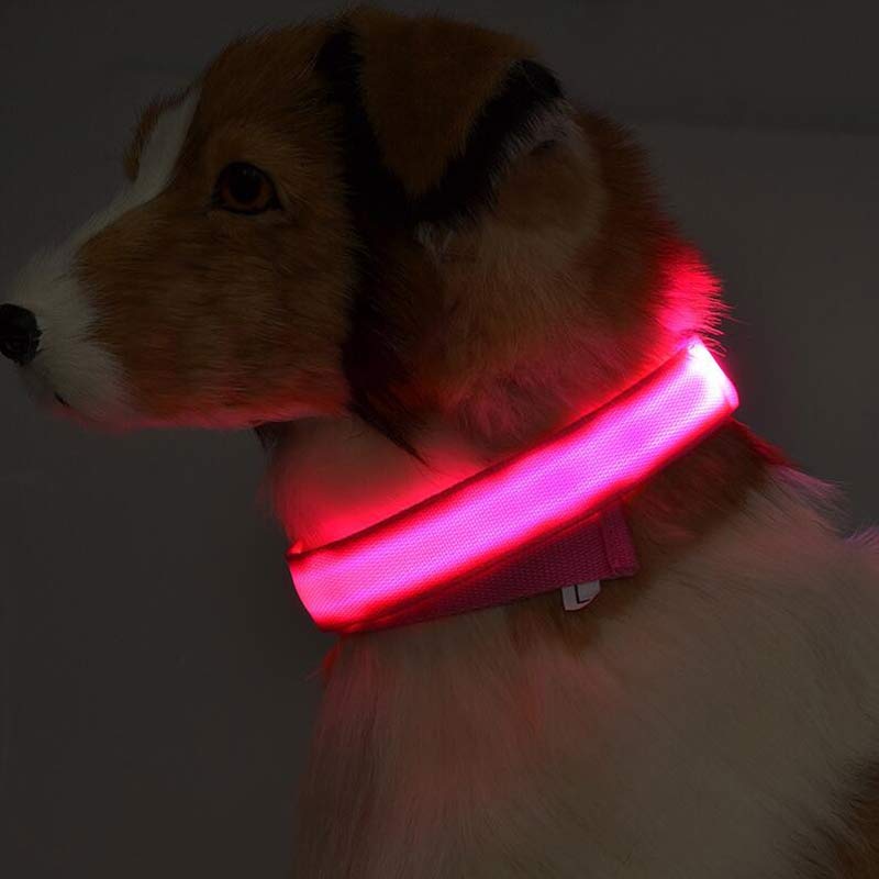 LED Glow Pet Safety Collar – Adjustable Rechargeable Night Collar for Dogs & Cats